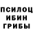 Псилоцибиновые грибы MAGIC MUSHROOMS Ryan Doherty