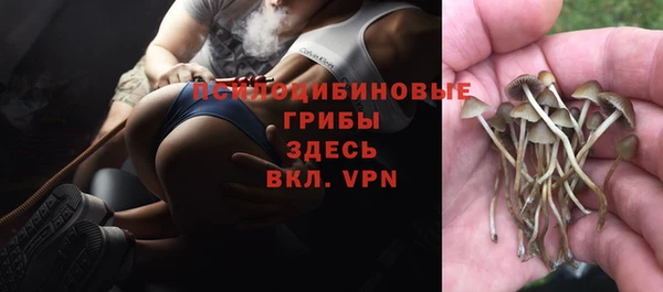 ALPHA PVP Армянск