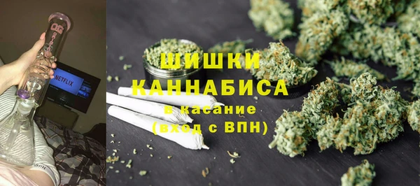 дмт Арсеньев