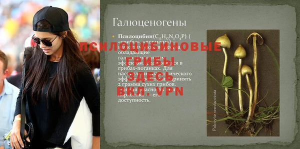 кокс Аркадак