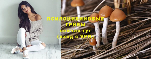 дмт Арсеньев