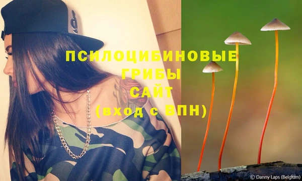 дмт Арсеньев