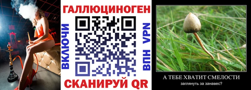 blacksprut зеркало  Лысьва  Псилоцибиновые грибы прущие грибы 